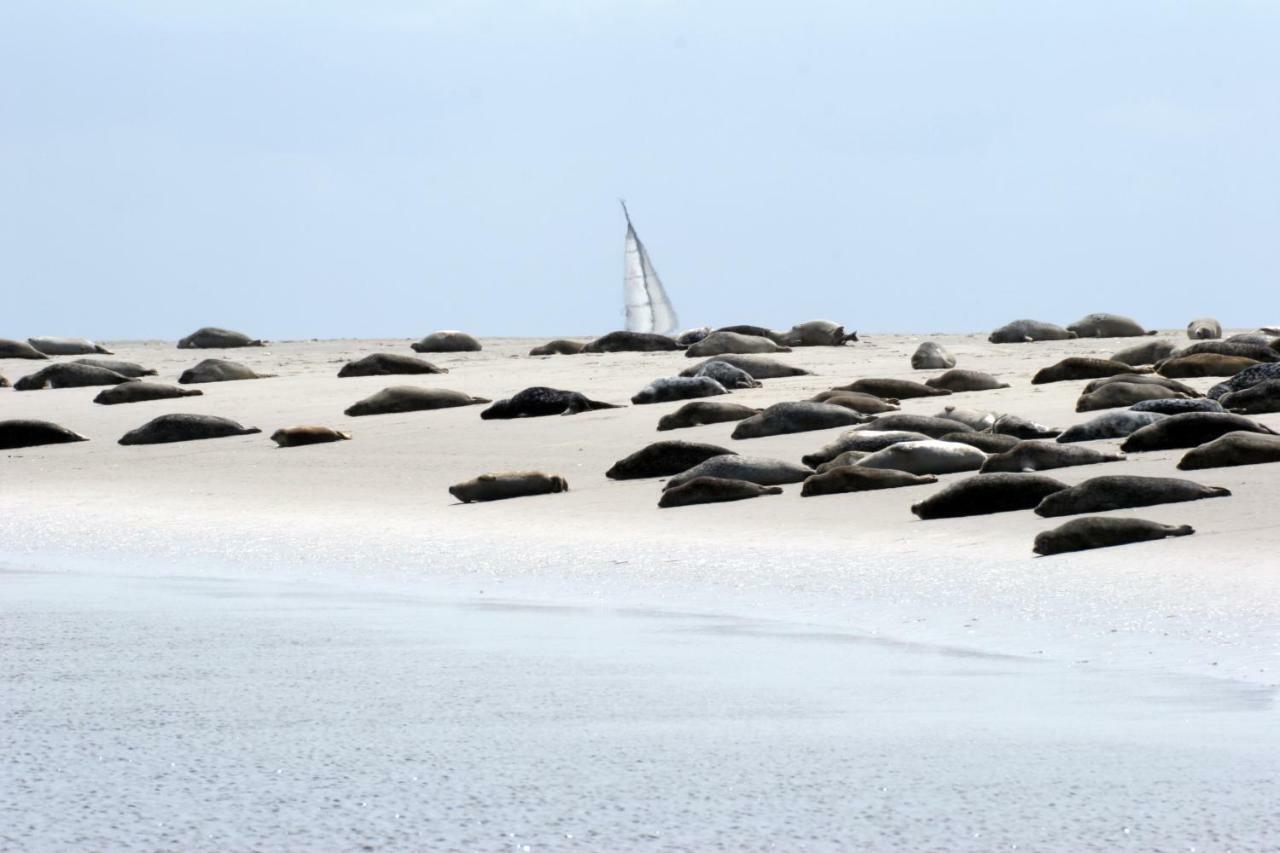 Borkumunterkunft - Woh4 - Im Herzen Der Insel Екстер'єр фото